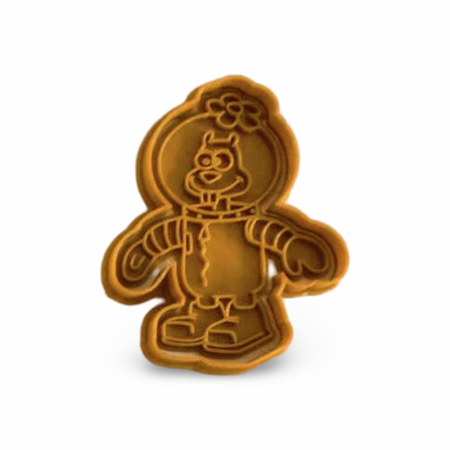 Sandys cookie cutter with stamp