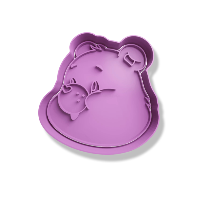 Care Bears cookie cutter with stamp
